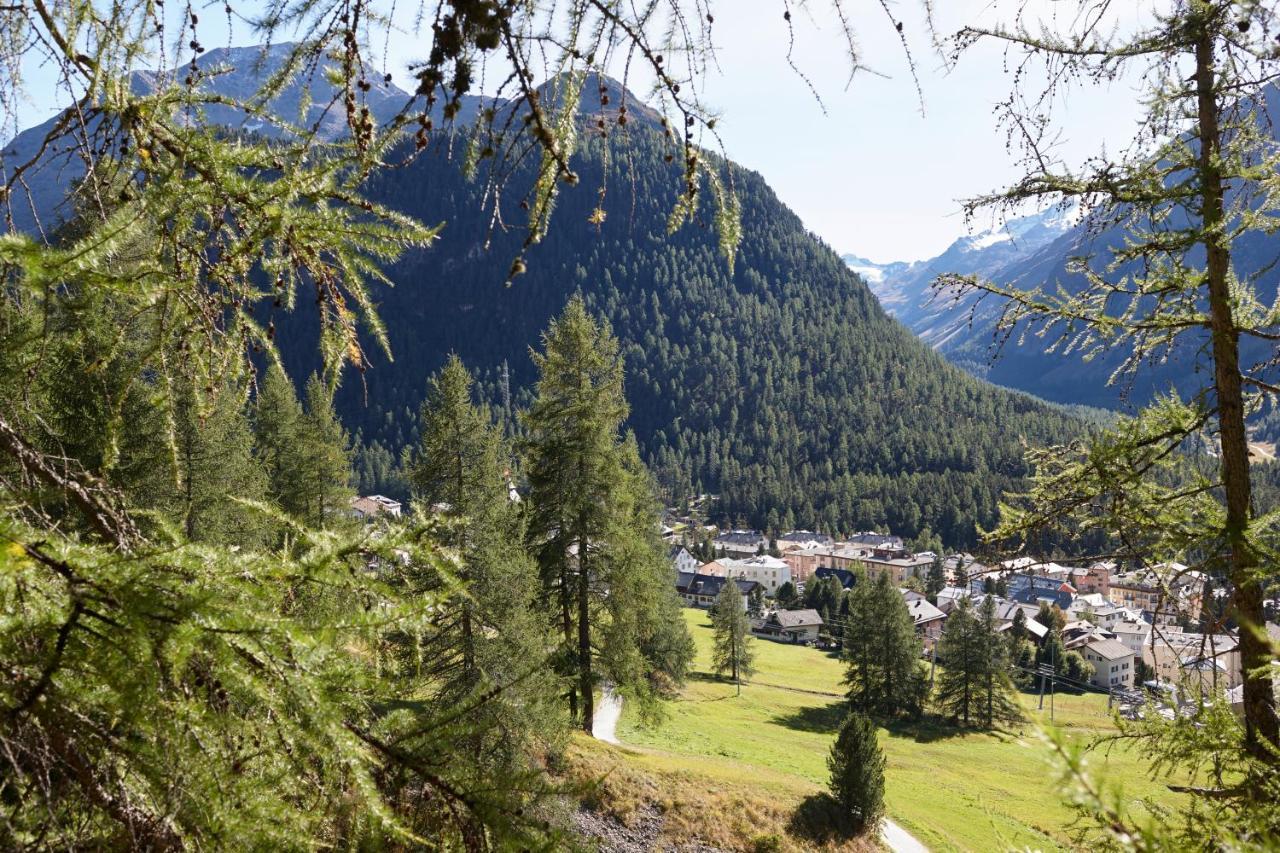 Lodge Alpine Chesa Plattner *